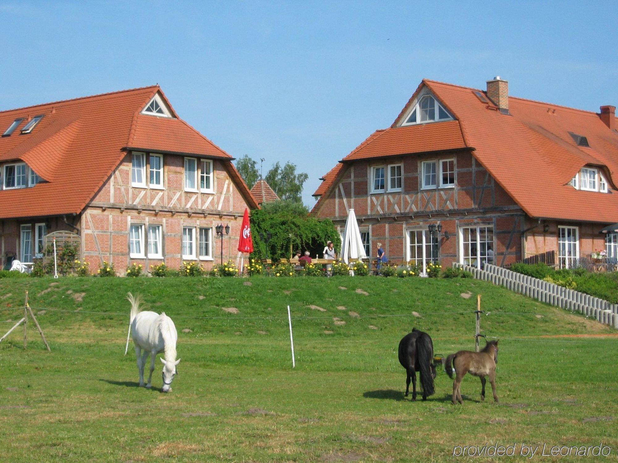 Flair Seehotel Zielow Ludorf Dış mekan fotoğraf